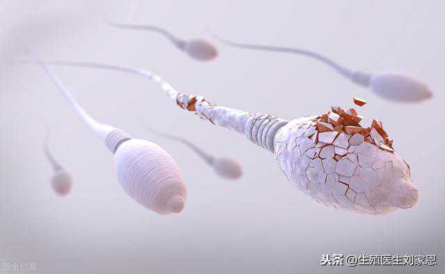香港验血管子保存多久,做广州助孕试管婴儿避免弊端的几个方法