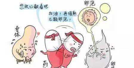 怀孕7周去香港验血准吗,如何提高试管婴儿成功率-促排降调很重要