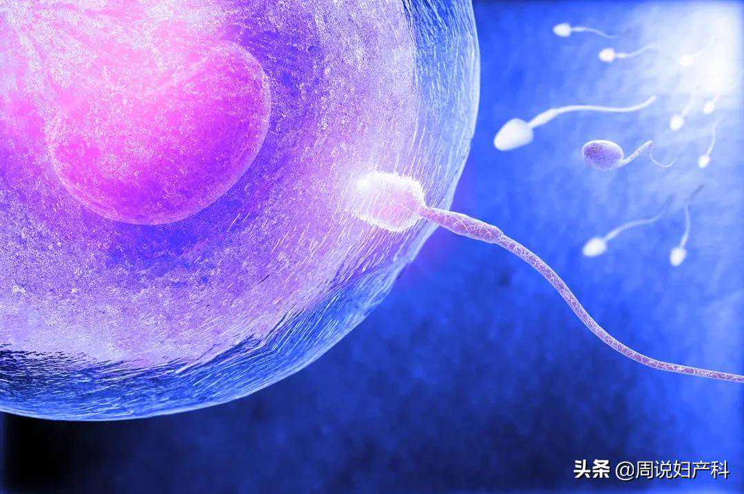 香港孕妇验血不能超过多久,夏天备孕更容易生男孩子吗？备孕需要补充什么？