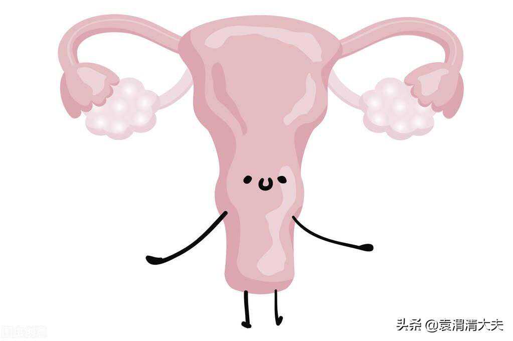 香港验血男女几个月准,单角子宫可以做试管婴儿吗？成功率如何？