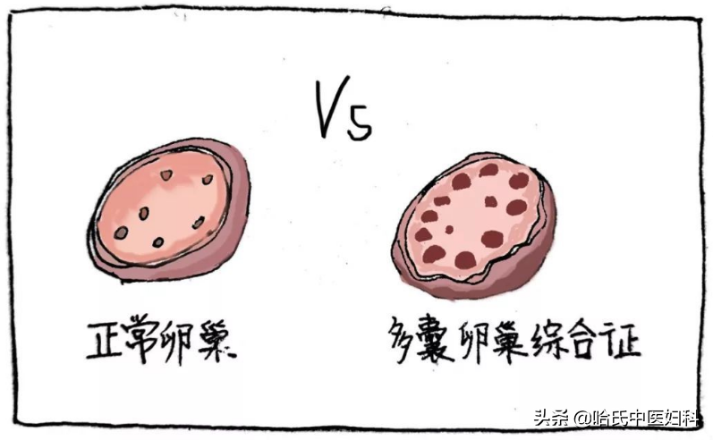 香港验血了准确率高吗,卵泡长不大长得慢？备孕女性这样做，轻松助好孕